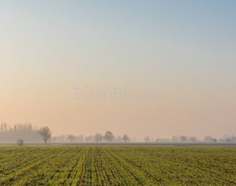 featured_img