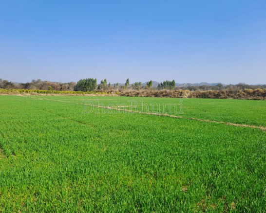 property_images/agricultural_in_kheda_1789714429_6aacdffdf183f.png