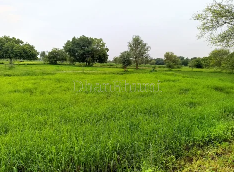 property_images/agricultural_in_kheda_1793095928_6ae078f83231b.PNG