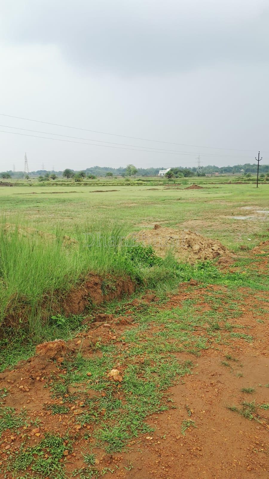property_images/agricultural_in_khordha_1782726399_6a423eff34e4f.jpeg