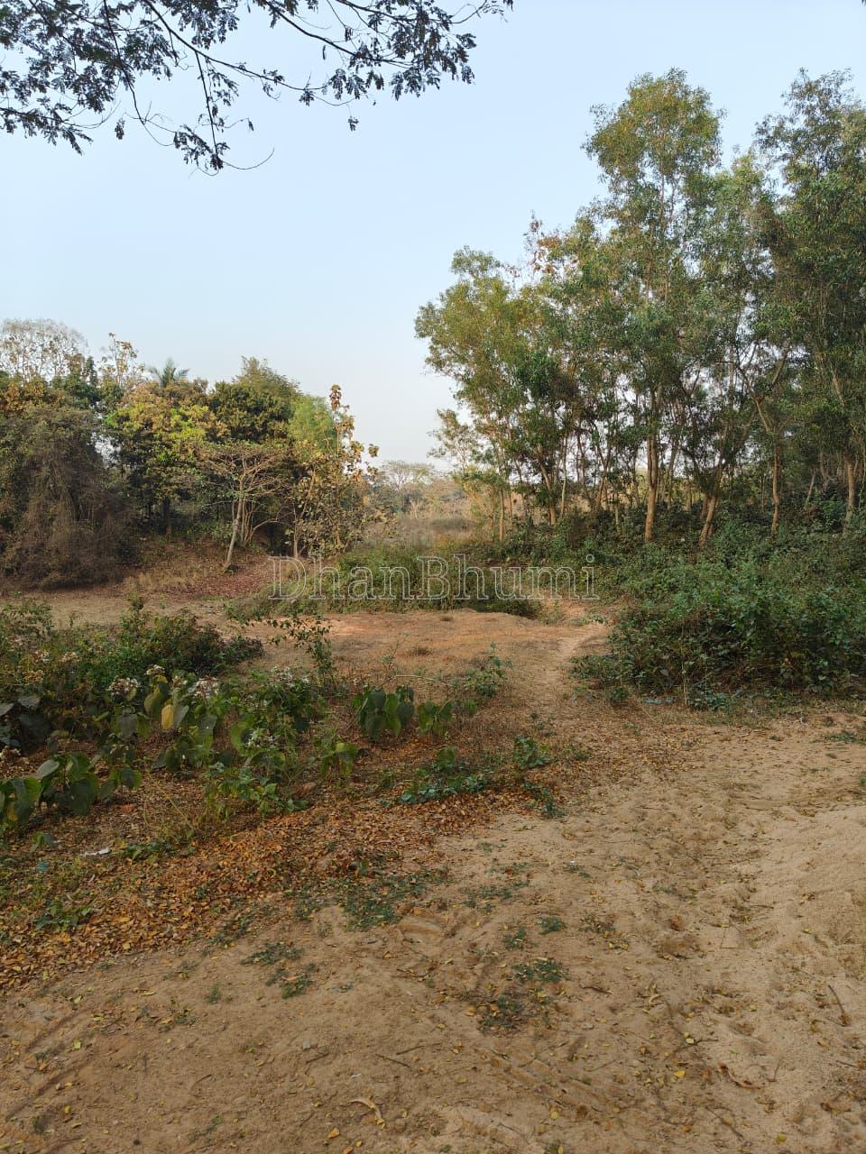 property_images/agricultural_in_khordha_1782734989_6a42608d9260a.jpeg