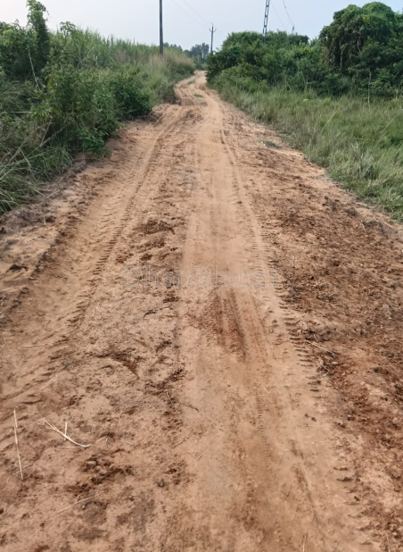 property_images/agricultural_in_khordha_1788348456_6a980828a5bef.PNG