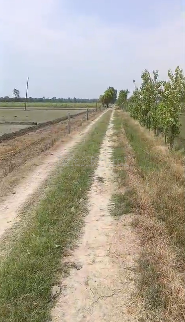property_images/agricultural_in_kichha_1781508461_6a2fa96d161f9.png