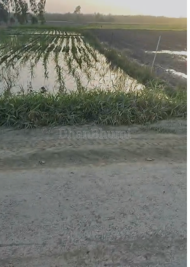 property_images/agricultural_in_kichha_1781513337_6a2fbc794ce42.png