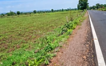 property_images/agricultural_in_kolhapur_1788946987_6aa12a2b86a6d.png