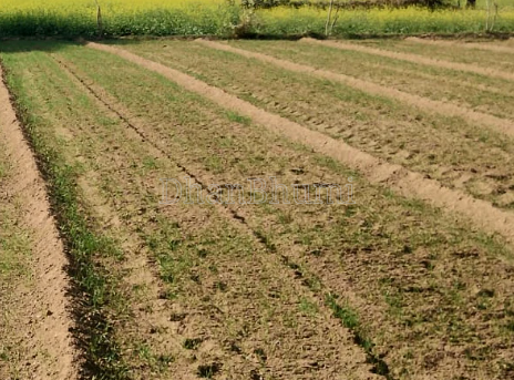 property_images/agricultural_in_kolkata_1791798533_6accad0513a21.png