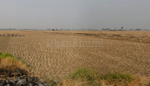 property_images/agricultural_in_kolkata_1791799016_6accaee896c9b.png