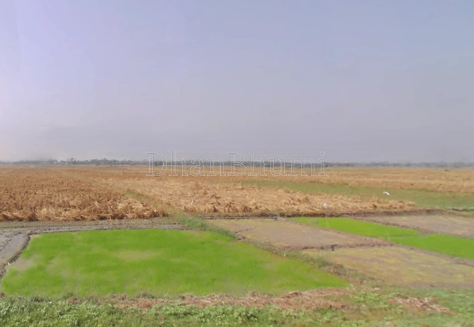 property_images/agricultural_in_kolkata_1791799605_6accb1354171e.png