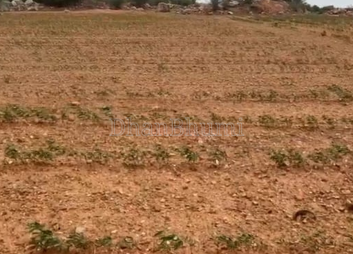 property_images/agricultural_in_kondagaon_1788589527_6a9bb5d78e8d2.png