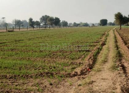 property_images/agricultural_in_kota_1782108827_6a38d29b8617b.jpg