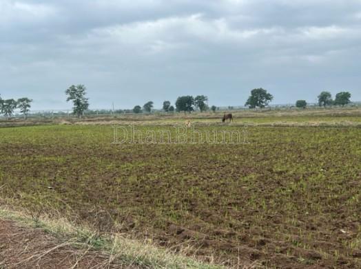 property_images/agricultural_in_kota_1782109116_6a38d3bcf2443.jpg