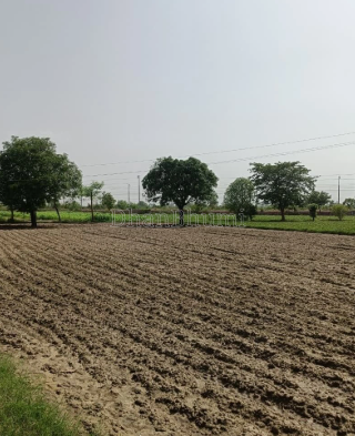 property_images/agricultural_in_kota_1787566663_6a8c1a4741398.png