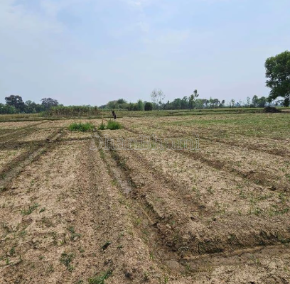 property_images/agricultural_in_kota_1787566921_6a8c1b4920dd9.png