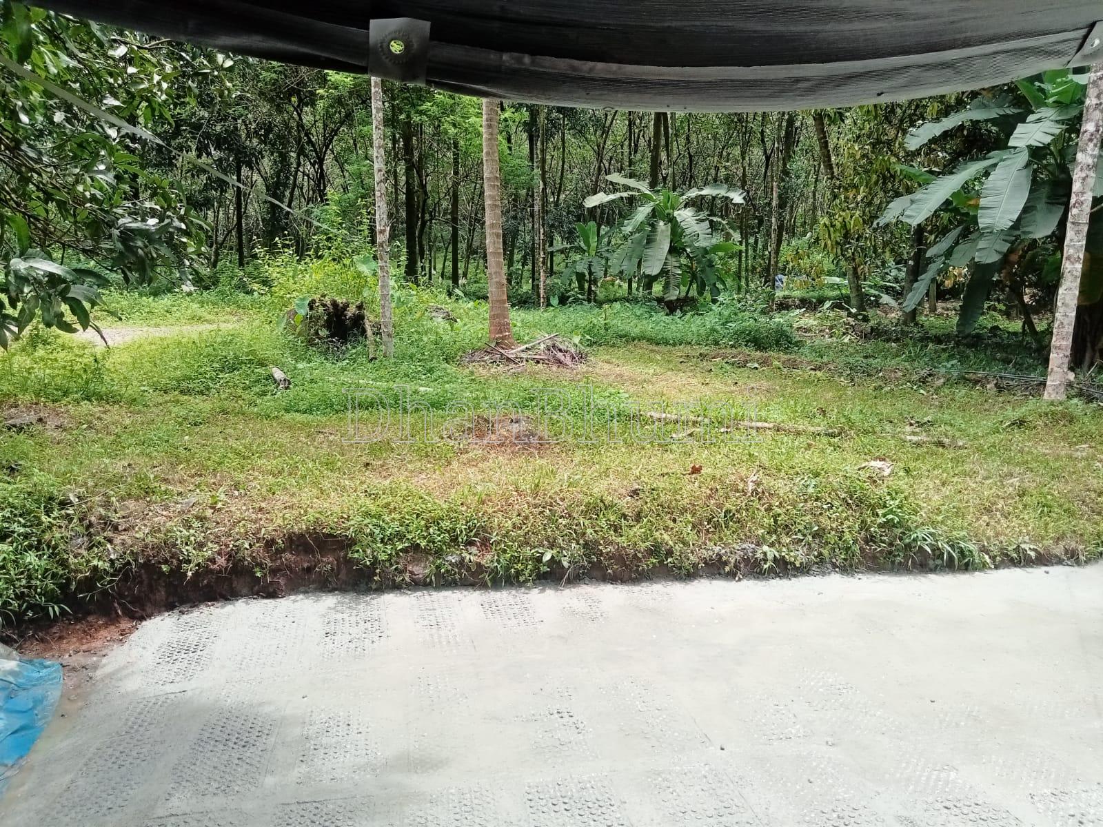 property_images/agricultural_in_kozhikode_1784021705_6a5602c9dc1be.jpeg