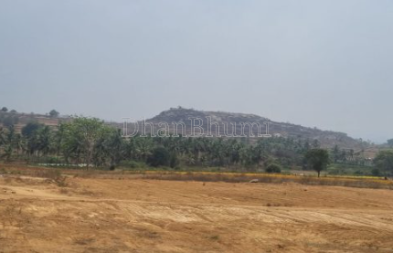 property_images/agricultural_in_krishnagiri_1785391647_6a6aea1f17a40.png