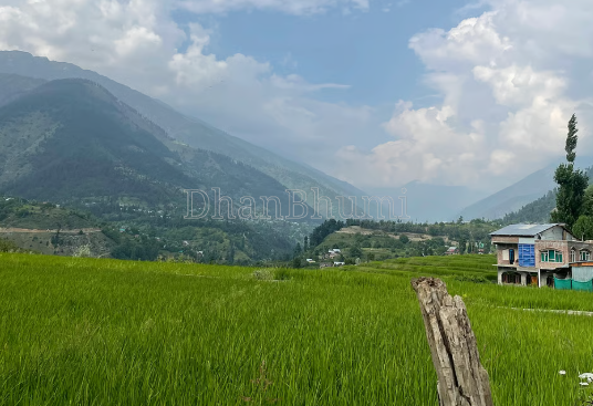 property_images/agricultural_in_kulgam_1784200035_6a58bb6399ff8.png