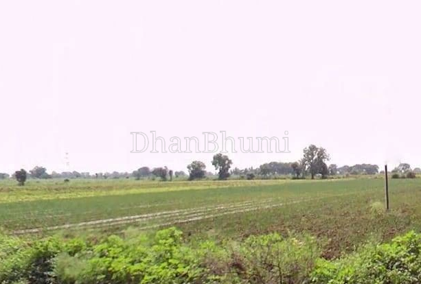 property_images/agricultural_in_kurukshetra_1790772425_6abd04c90b8d3.PNG