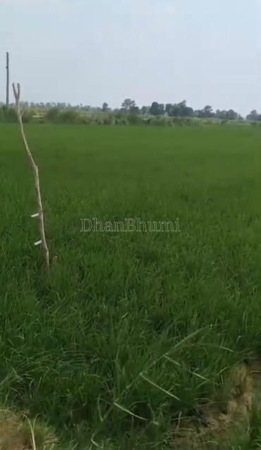 property_images/agricultural_in_lakhimpur_kheri_1782381614_6a3cfc2e47342.jpg