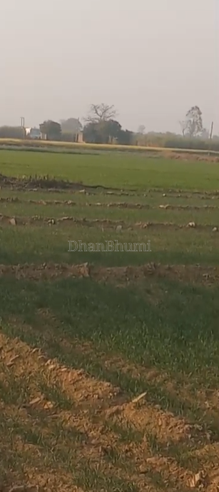 property_images/agricultural_in_lakhimpur_kheri_1782453790_6a3e161ebbca3.png