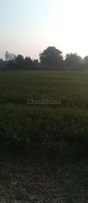 property_images/agricultural_in_lakhimpur_kheri_1782453790_6a3e161edcd9c.png