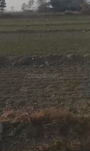 property_images/agricultural_in_lakhimpur_kheri_1782454451_6a3e18b3b59a9.png