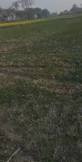 property_images/agricultural_in_lakhimpur_kheri_1782454809_6a3e1a199fde3.png