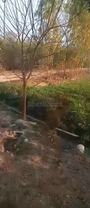 property_images/agricultural_in_lakhimpur_kheri_1782454809_6a3e1a19bbd07.png