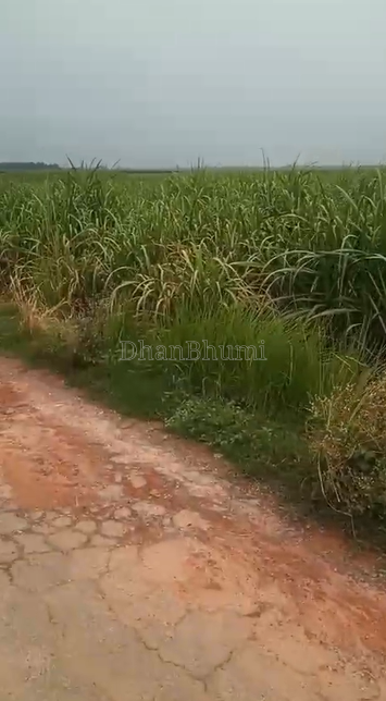 property_images/agricultural_in_lakhimpur_kheri_1786085614_6a7580ee3215e.png