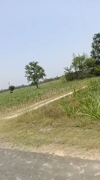 property_images/agricultural_in_lakhimpur_kheri_1786085861_6a7581e506da2.png