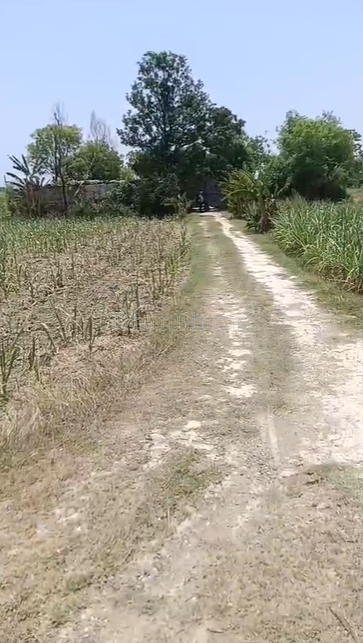 property_images/agricultural_in_lakhimpur_kheri_1786085873_6a7581f124eaf.png