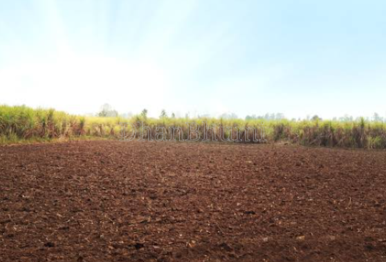 property_images/agricultural_in_lakhimpur_kheri_1792050795_6ad0866b00d5d.png