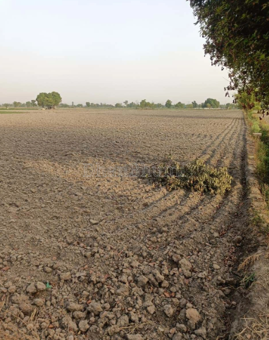 property_images/agricultural_in_lalitpur_1790413993_6ab78ca92b74a.png