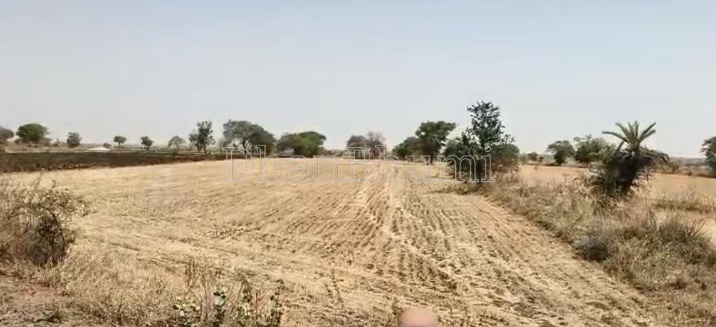 property_images/agricultural_in_latur_1780646273_6a228181ac065.PNG