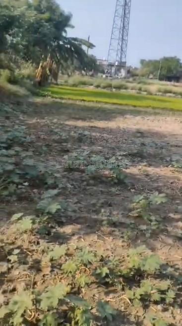 property_images/agricultural_in_lucknow_1781610275_6a313723d36e5.jpg