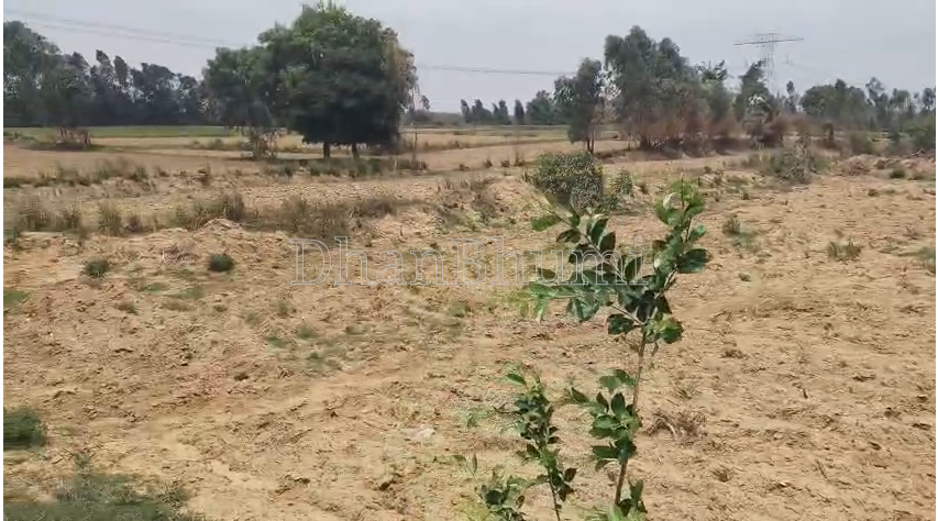 property_images/agricultural_in_lucknow_1784528615_6a5dbee78220a.png