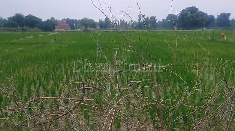 property_images/agricultural_in_lucknow_1785476882_6a6c37123f19d.png