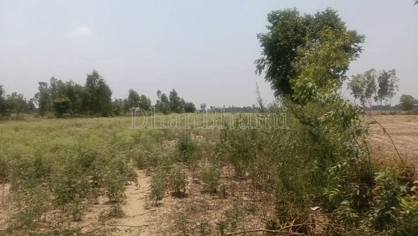 property_images/agricultural_in_lucknow_1786098336_6a75b2a039009.png