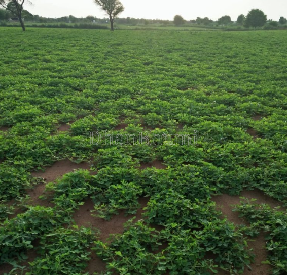 property_images/agricultural_in_lucknow_1786446304_6a7b01e0abc27.PNG