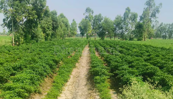 property_images/agricultural_in_lucknow_1786446540_6a7b02cc5e23e.PNG