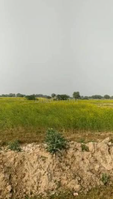 property_images/agricultural_in_lucknow_1786447570_6a7b06d23d9bc.PNG