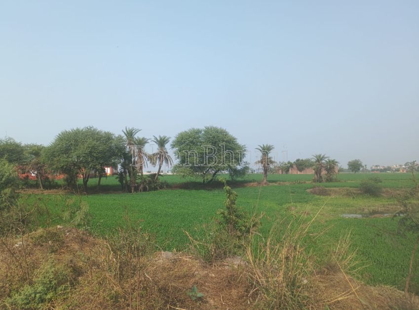 property_images/agricultural_in_lucknow_1786688299_6a7eb32b9dddf.PNG