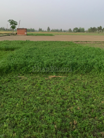 property_images/agricultural_in_lucknow_1786688471_6a7eb3d760118.PNG