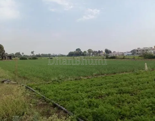 property_images/agricultural_in_lucknow_1786688701_6a7eb4bdec5e5.PNG