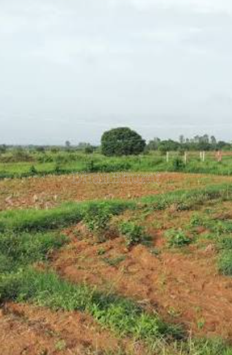 property_images/agricultural_in_lucknow_1786688843_6a7eb54baa8a6.PNG