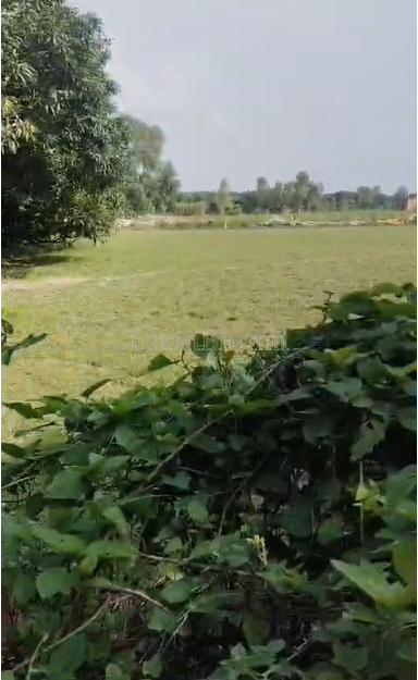 property_images/agricultural_in_lucknow_1789639343_6aabbaaf2ae79.png