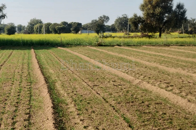 property_images/agricultural_in_lucknow_1792065554_6ad0c0126b958.png