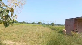 property_images/agricultural_in_lucknow_1792147631_6ad200af7fea8.PNG