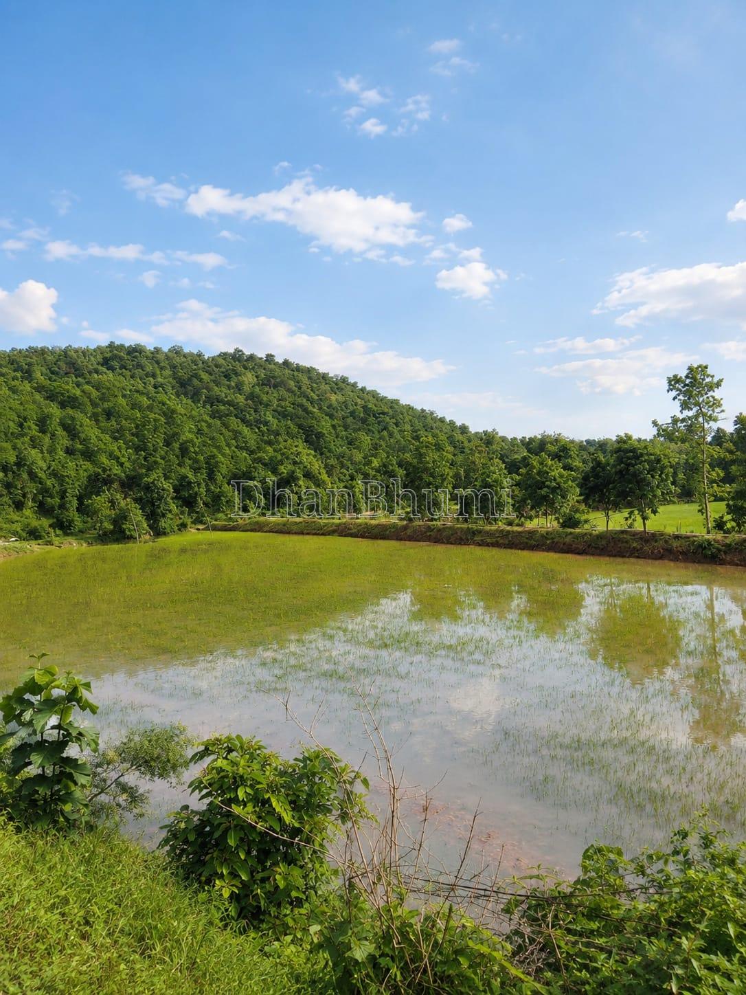 property_images/agricultural_in_mahasamund_1785566015_6a6d933fea3b8.jpeg