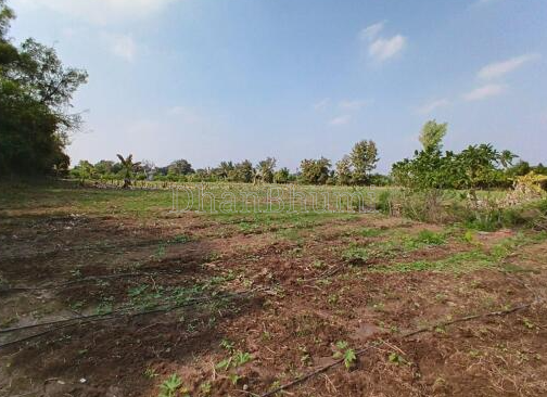 property_images/agricultural_in_mahisagar_1780917922_6a26a6a2e47dd.PNG