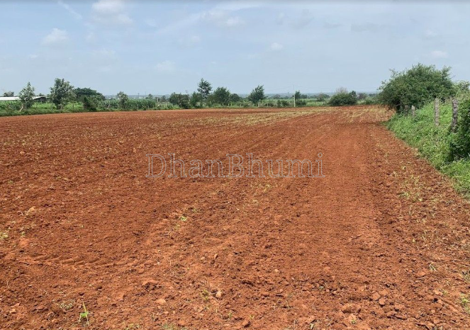 property_images/agricultural_in_mahisagar_1788512817_6a9a8a31e73f4.png